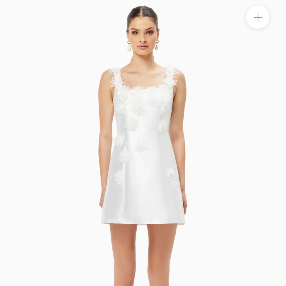 Elliott Elder Embellished Mini Dress Size Small